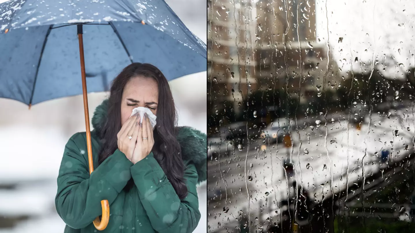 Doctor warns people of the seven signs that could indicate you suffer from seasonal depression