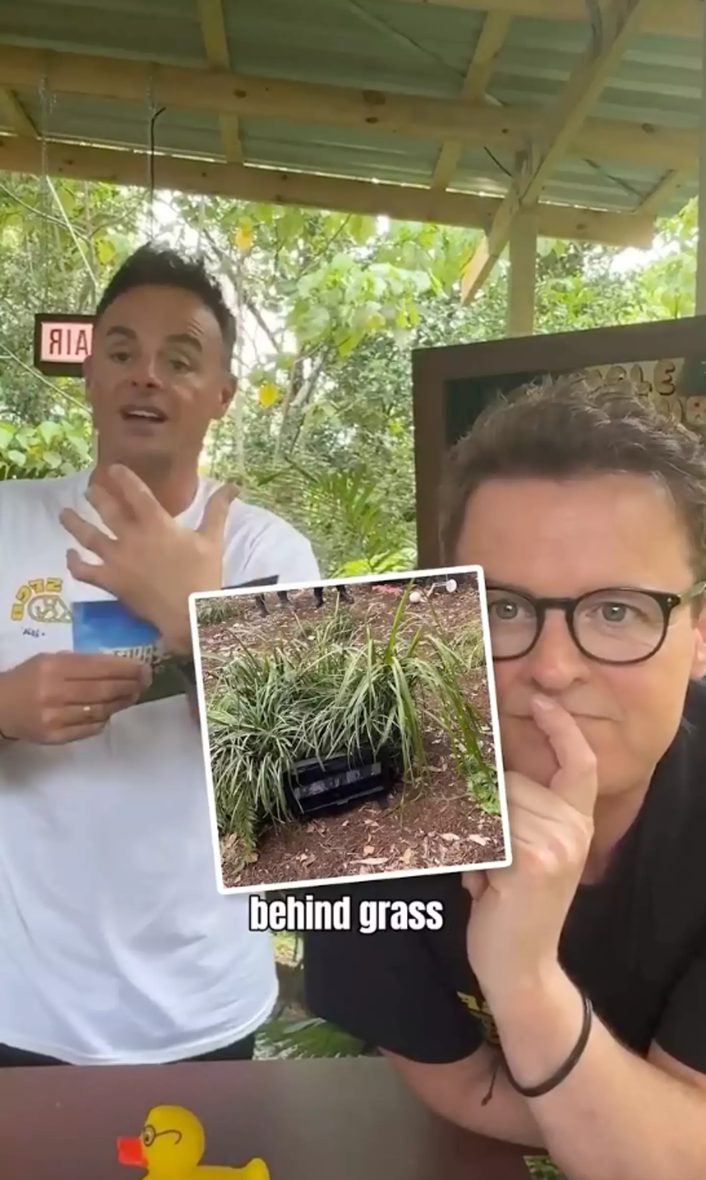 It's been a secret all along (Instagram/@antanddec)