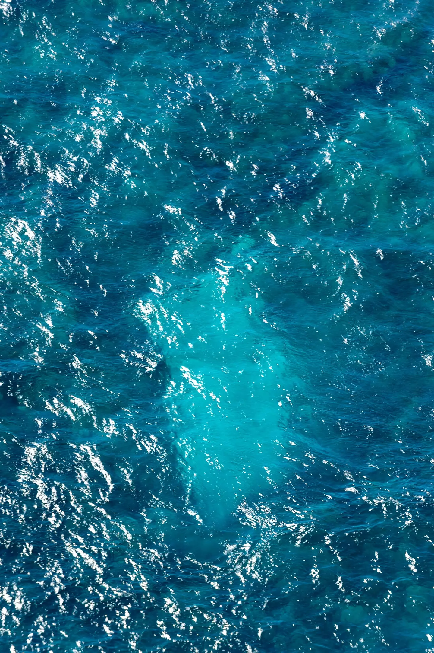 Improvised weapons have been found at the site of the wreck.