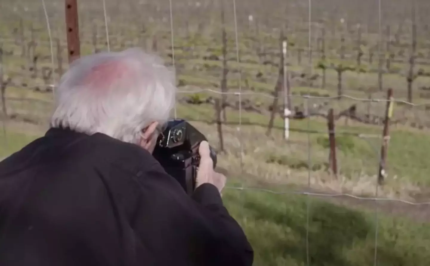 He wishes he had noticed the huge potential that Bliss had before he sold it to Microsoft  (YouTube/Shoot The Rabbit/Bart Leferink/Marcel Buunk)