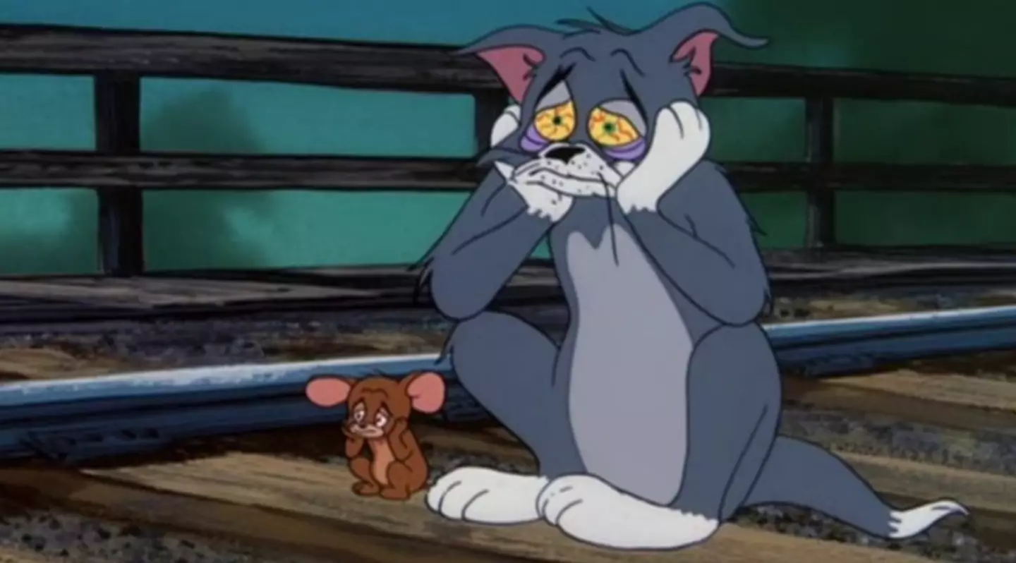 Tom and Jerry theories have been circulating online. (Warner Bros.)