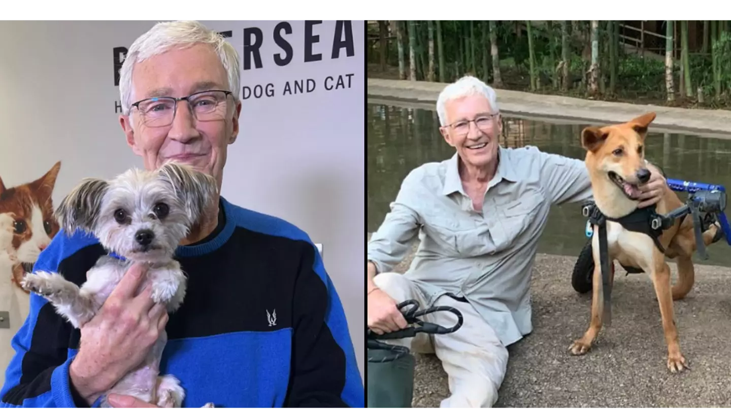 Paul O'Grady's final heartbreaking post about death of pet before he died