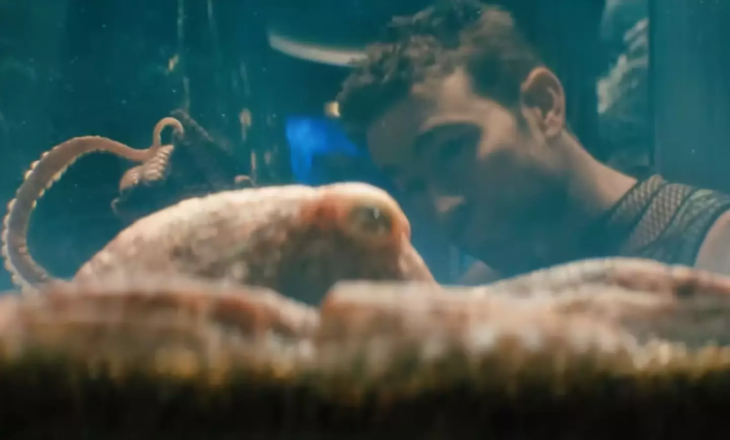 In Season 3 fans were introduced to the octopus, Ambrosius. (Amazon)