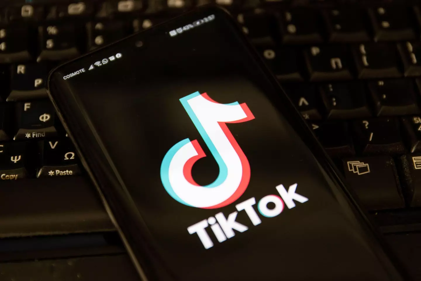 Some politicians are very worried about the privacy risks posed by TikTok.