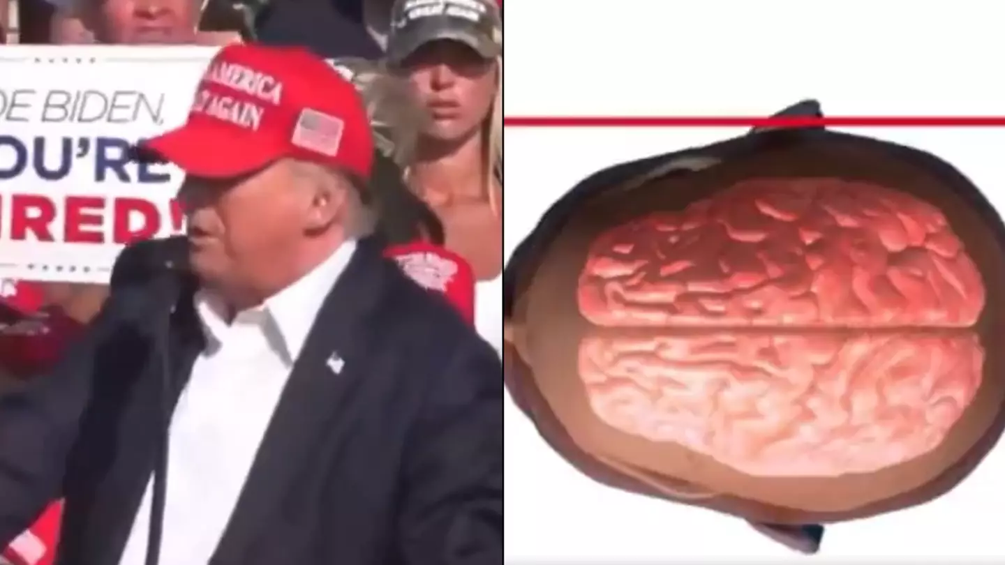 Last millisecond movement that ‘saved Donald Trump’s life’ shown in slo-mo footage of assassination attempt