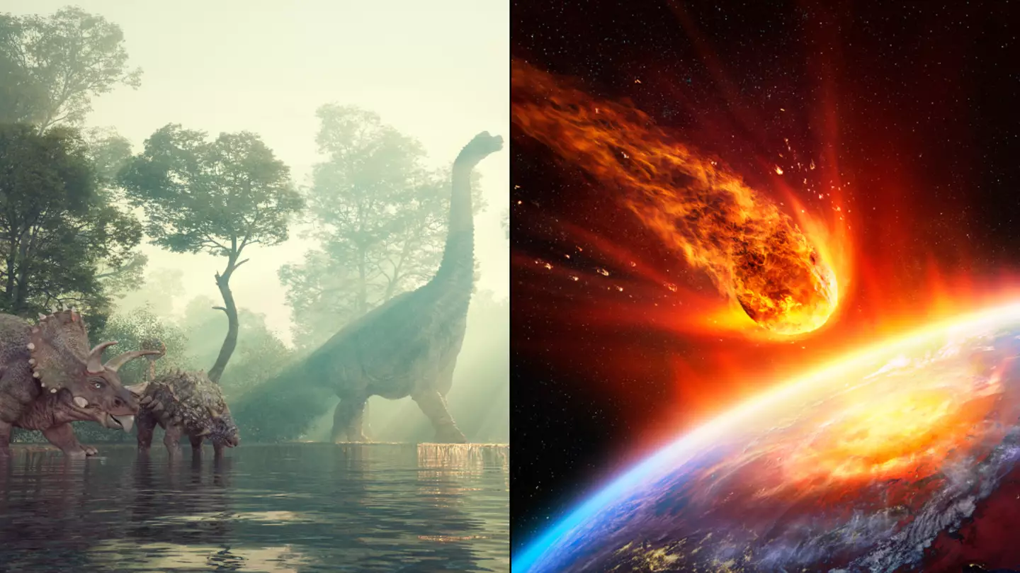 Scientists have finally made major breakthrough in discovering where dinosaur-killing asteroid came from