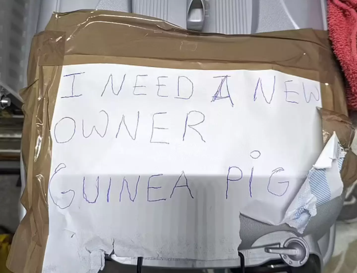 The heartbreaking note found with the guinea pig.
