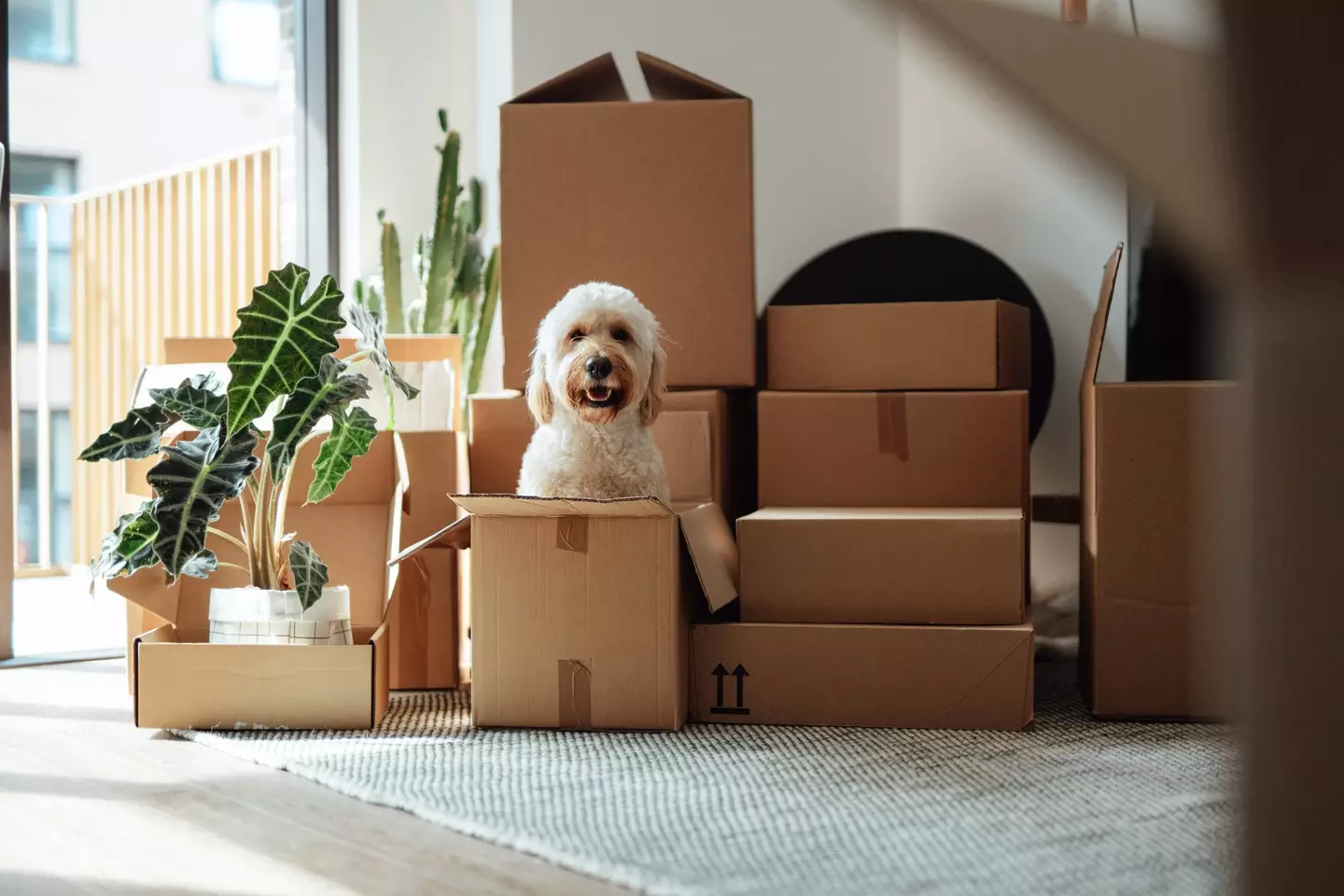 Buying a house can be a nightmare (Getty Stock Images)