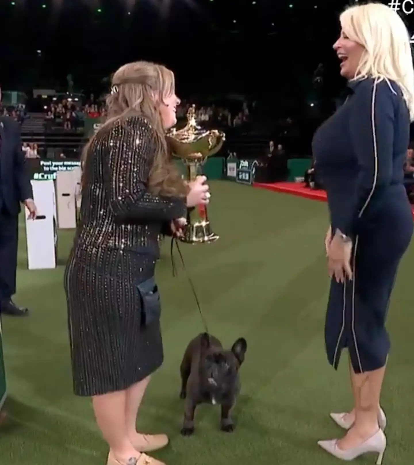 People aren't happy that French Bulldog Elton scooped up a series of awards.