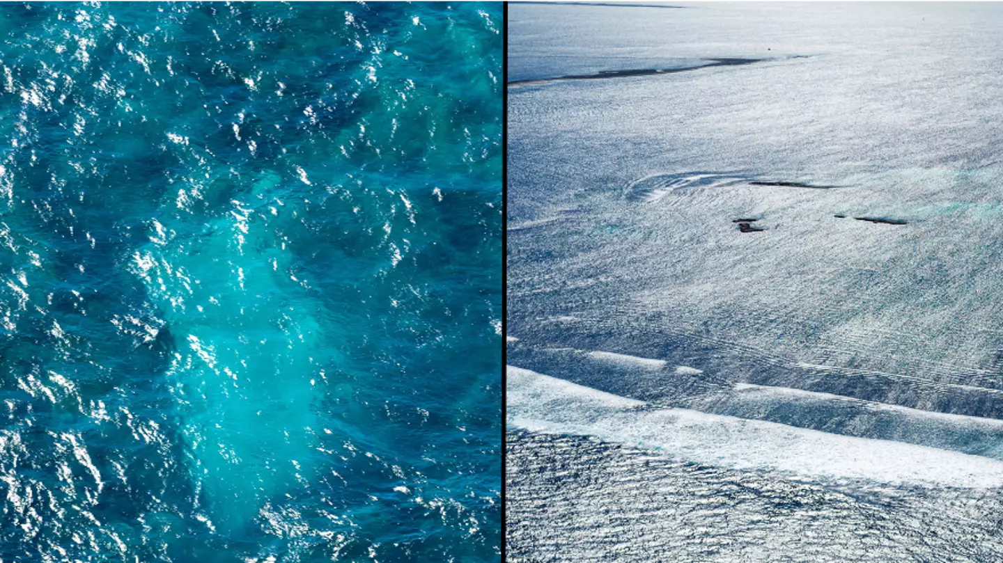 New evidence shows ‘world’s worst shipwreck’ was way more violent than previously thought