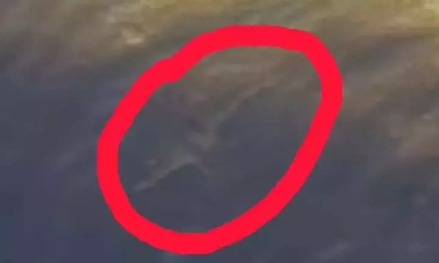 The clip appears to show the mythical beast on the shoreline.