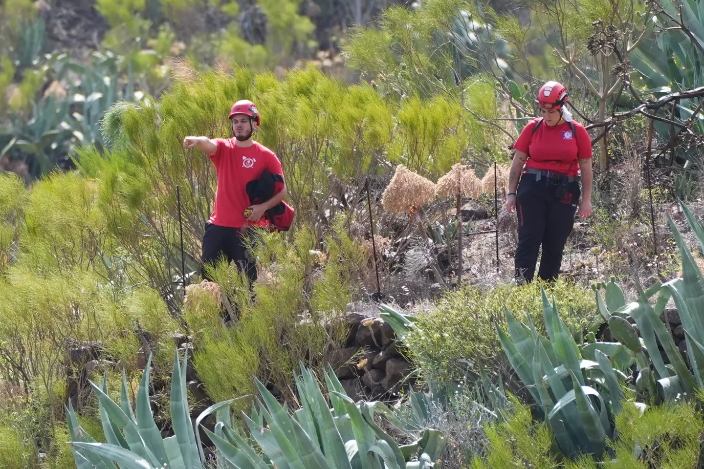 The dad and brother of the missing Brit made an emotional plea. (James Manning/PA Wire)
