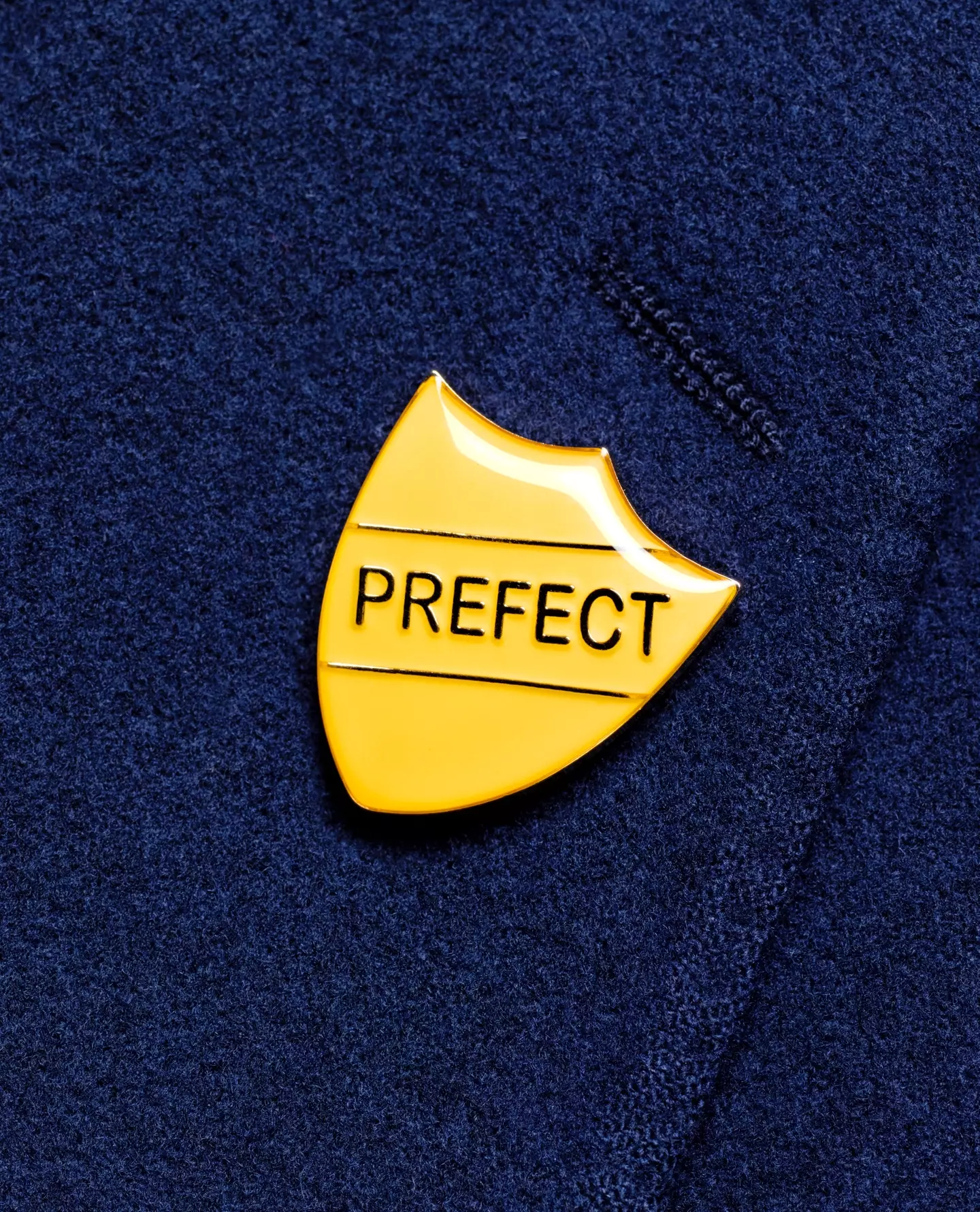 Yep, non-magical schools have prefects too.