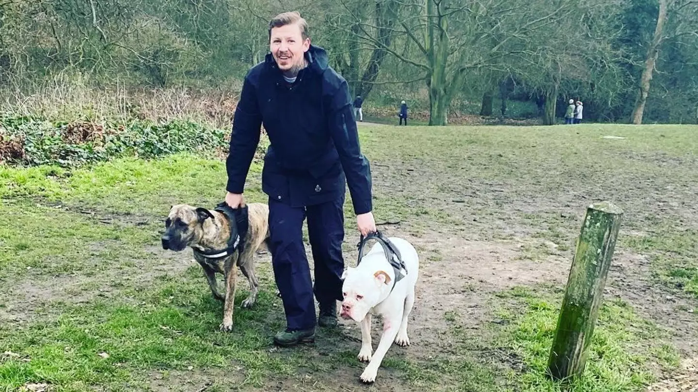 Professor Green Shares Heartbreaking Tribute After Beloved Dog Dies