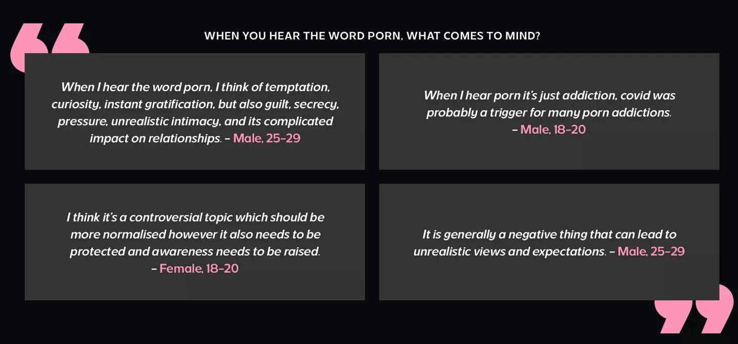 Plenty of Gen Z are worried porn is having a negative impact on them (LADbible)