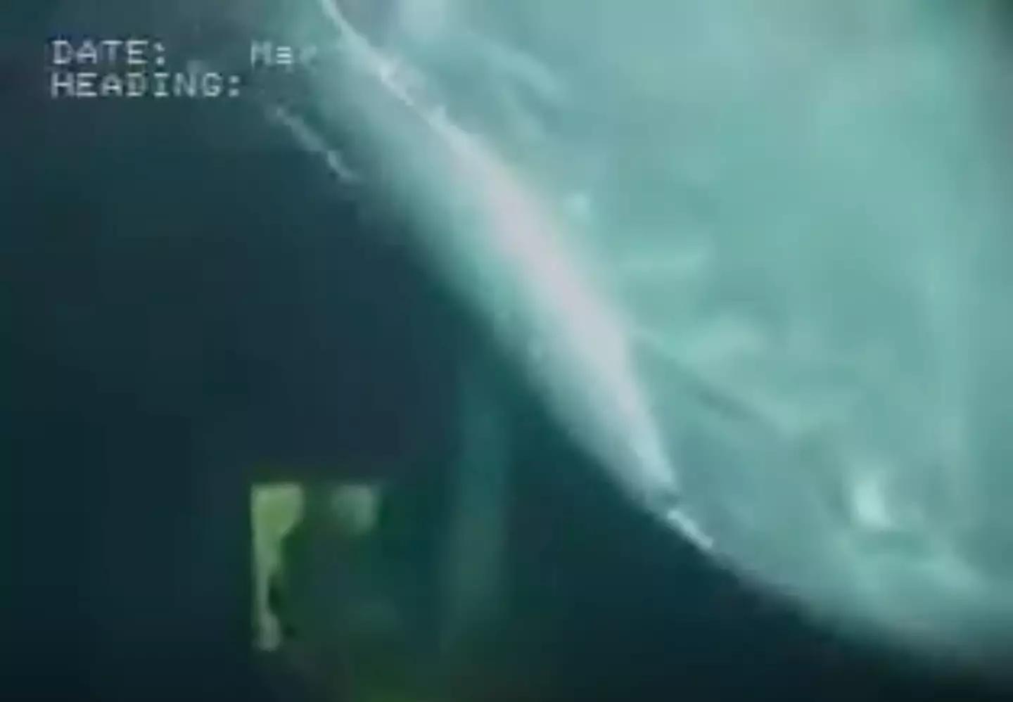 While the quality of the footage isn't amazing, a sperm whale is seen gliding past the camera and heading even deeper into the ocean. (Helix Energy Solutions)