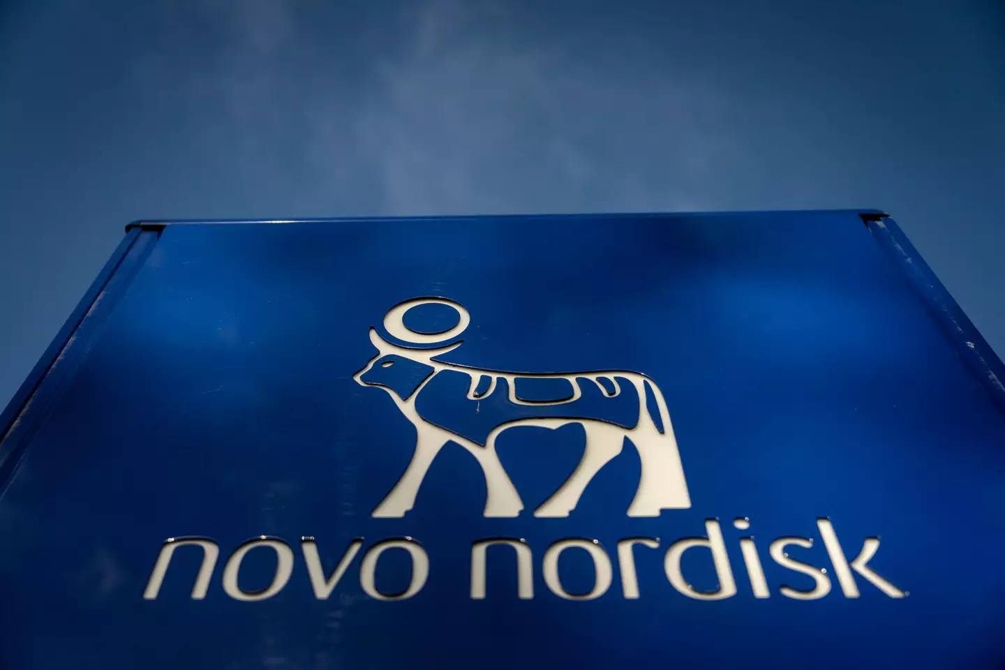 Studies from Ozempic creators Novo Nordisk have suggested weight loss drugs could help with kidney disease, but more research needs to be done (MADS CLAUS RASMUSSEN/Ritzau Scanpix/AFP via Getty Images)