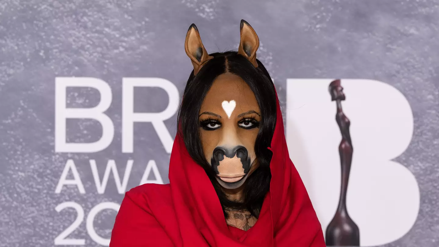 HorsegiirL addresses Brit Awards confusion after viewers spotted 'horse' next to Danny Dyer