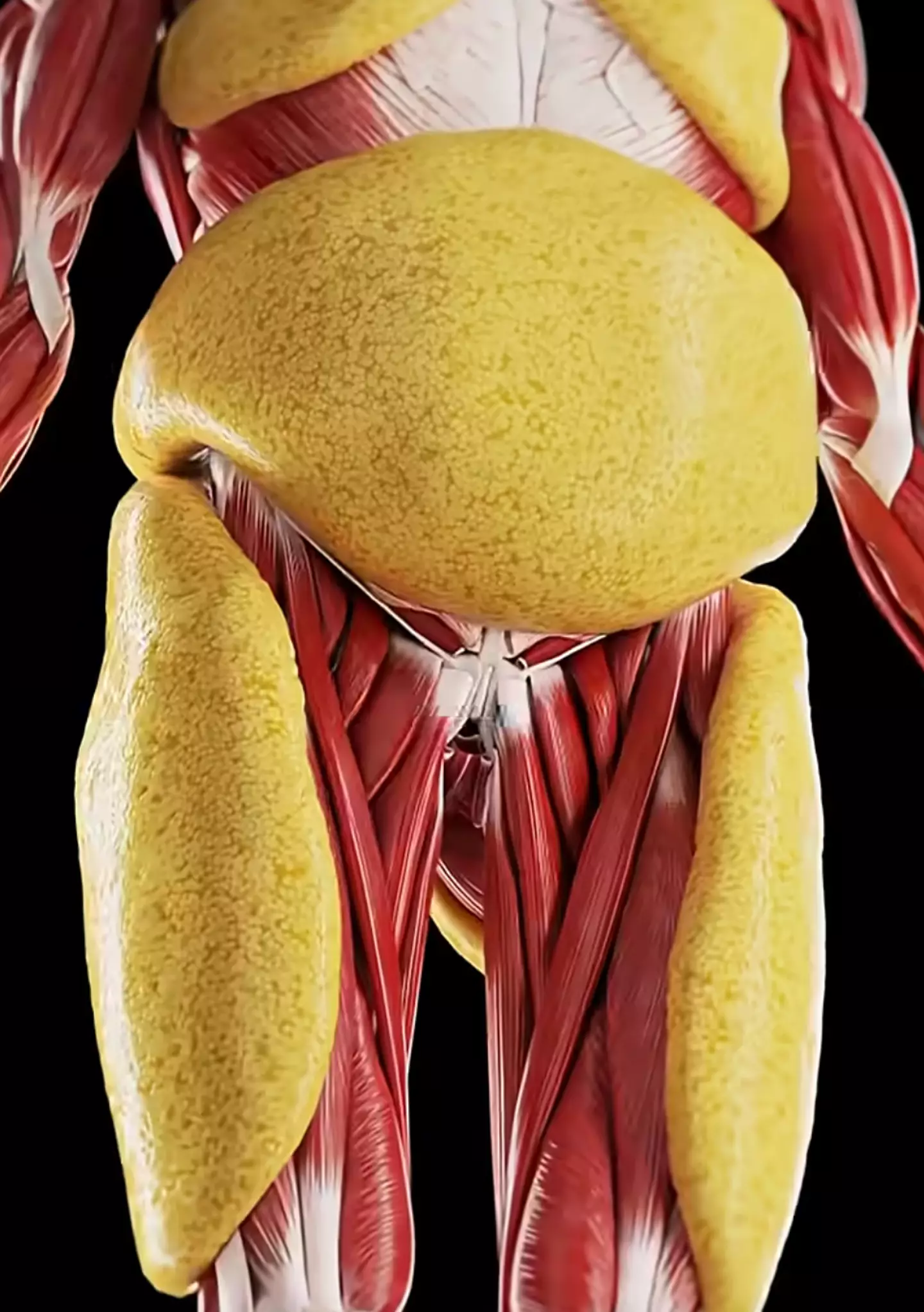 Your body starts to use stored energy as an alternative source to food (YouTube/Growfithealth)