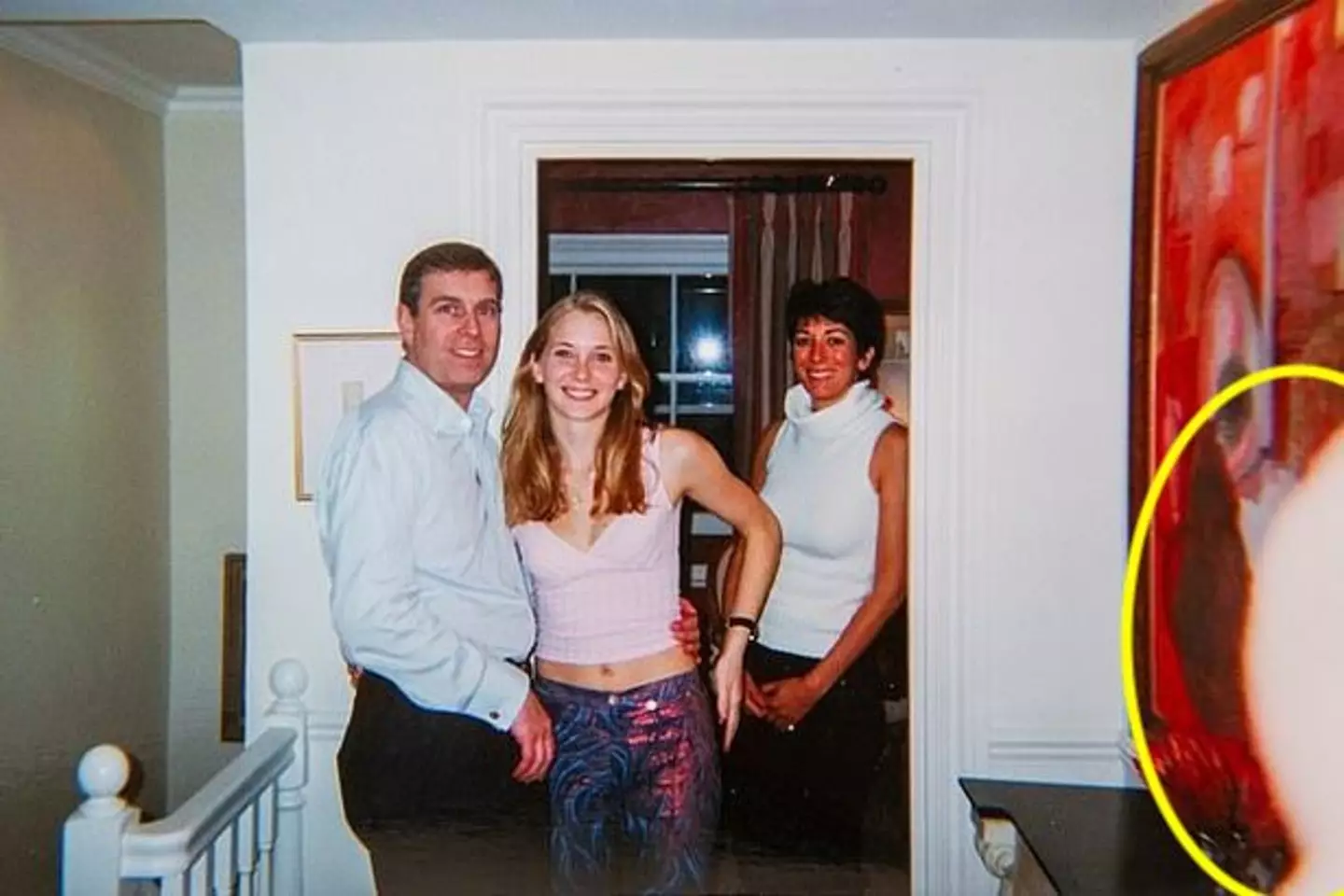 The picture in question - see highlighted area.