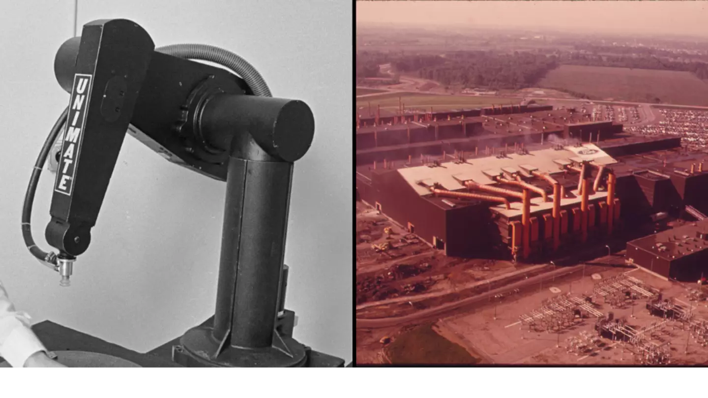 Tragic case of man who was the first ever human to be killed by a robot