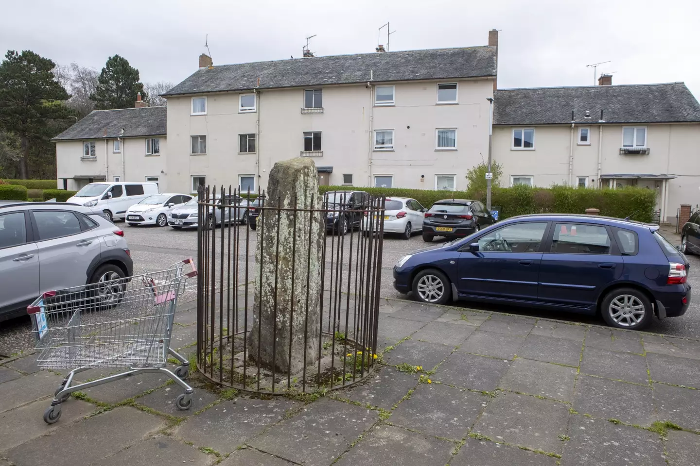 The relic dates back to the time of Stonehenge.