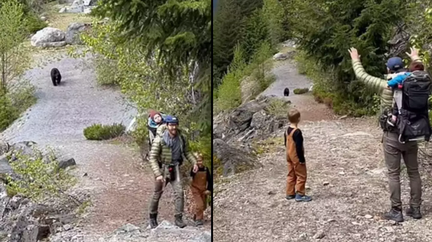 Bear Stalks Family As They Hike Along A Remote Trail