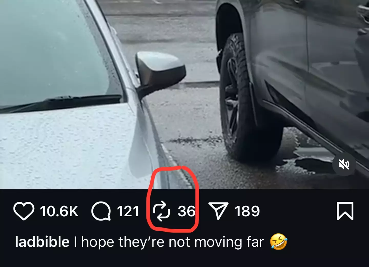 The repost feature is now live on Insta (Instagram/@ladbible)