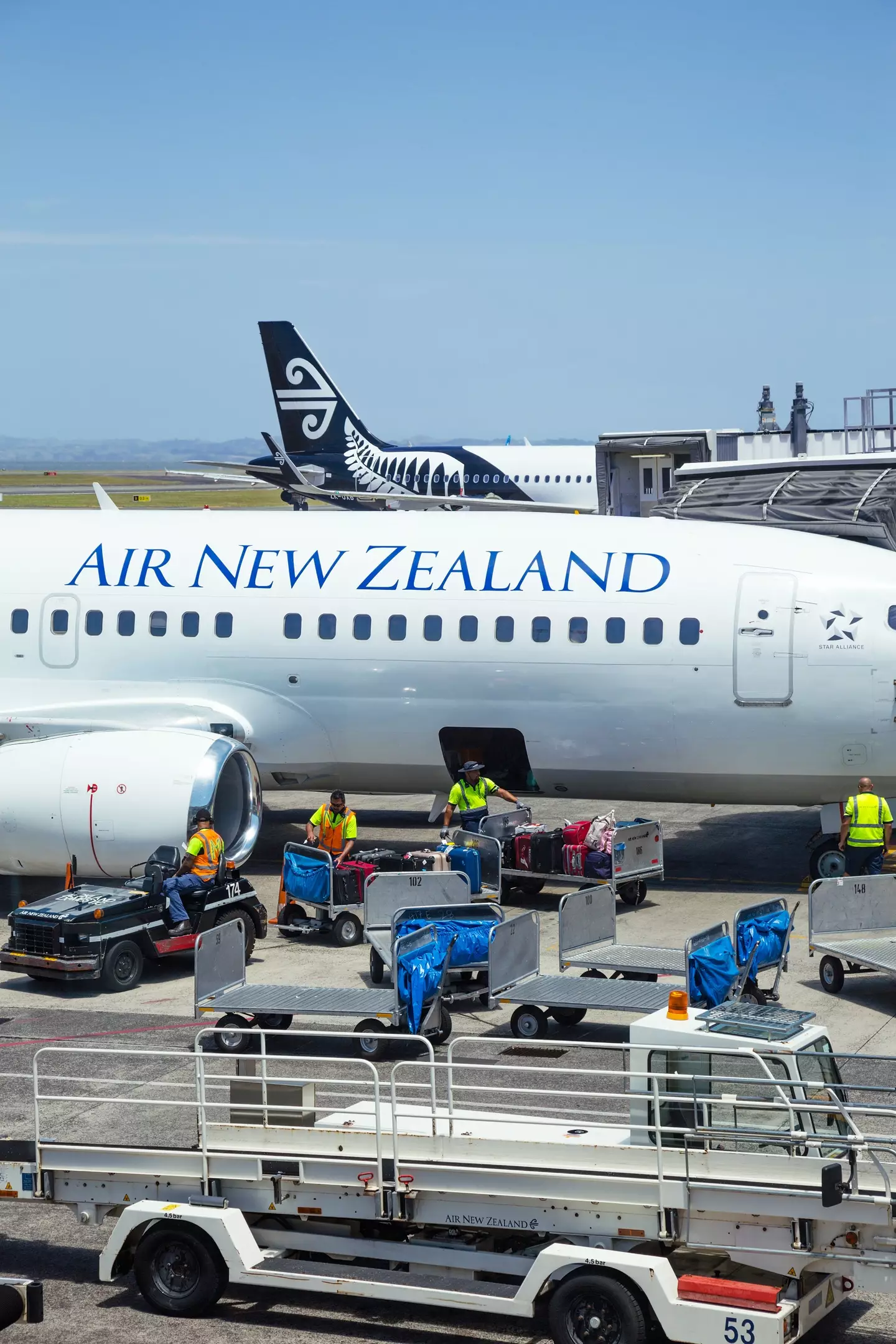 There was plenty of space in the New Zealand airport due to the pandemic.