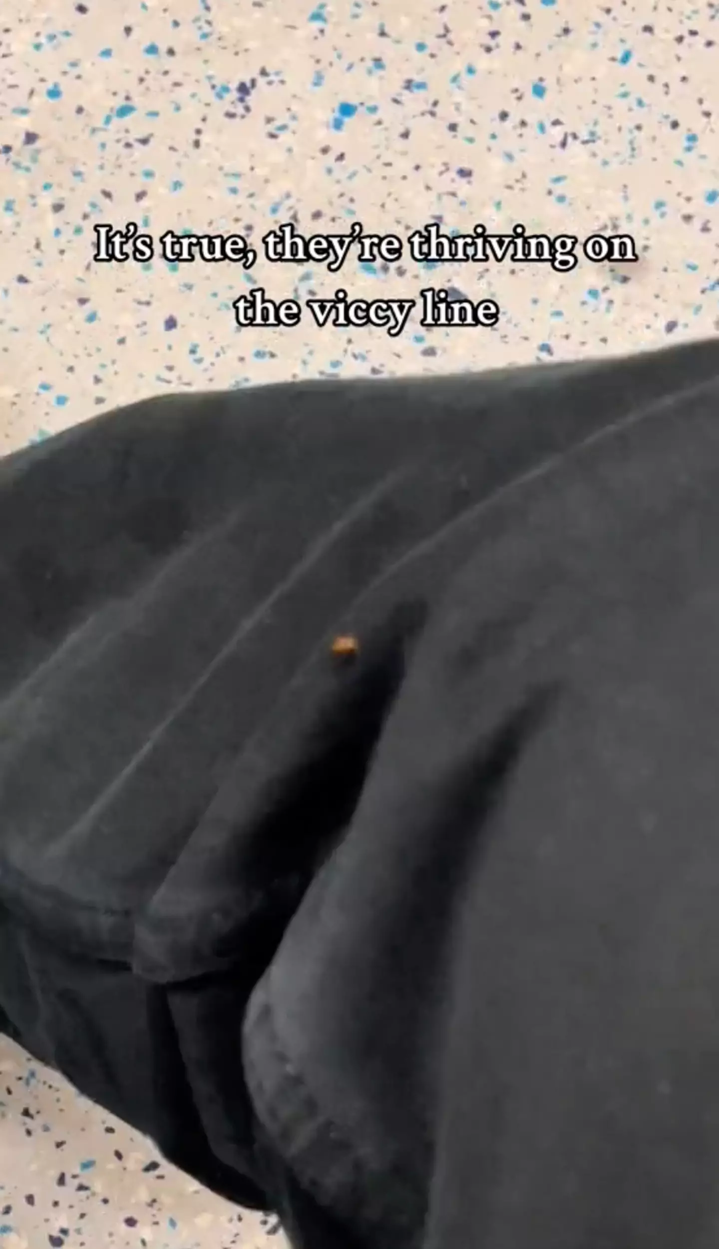 The woman shared what she claims is a bed bug crawling up her leg.