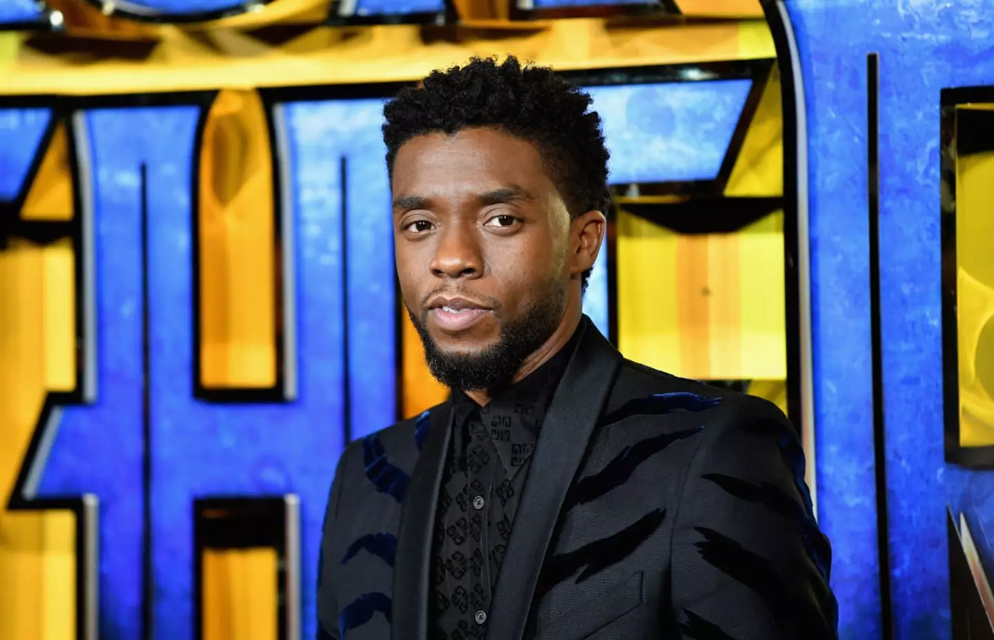 Chadwick Boseman in 2018 (Gareth Cattermole/Getty Images for Disney)