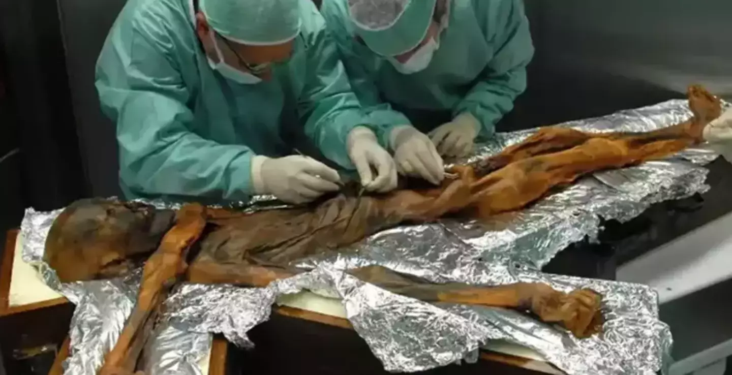 Ötzi unfortunately met a grizzly end (M.Samadelli/urac.Southtyrolarchaeologymuseum)