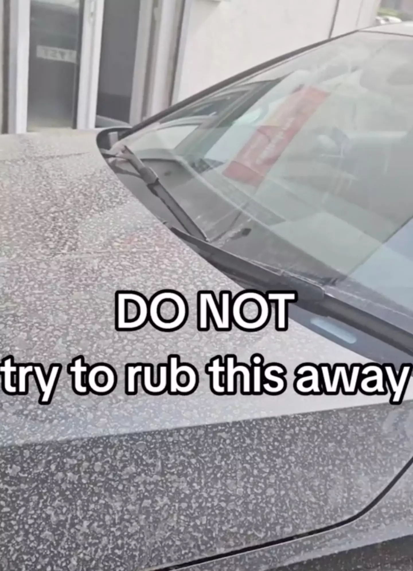 Don't rub the dust off.