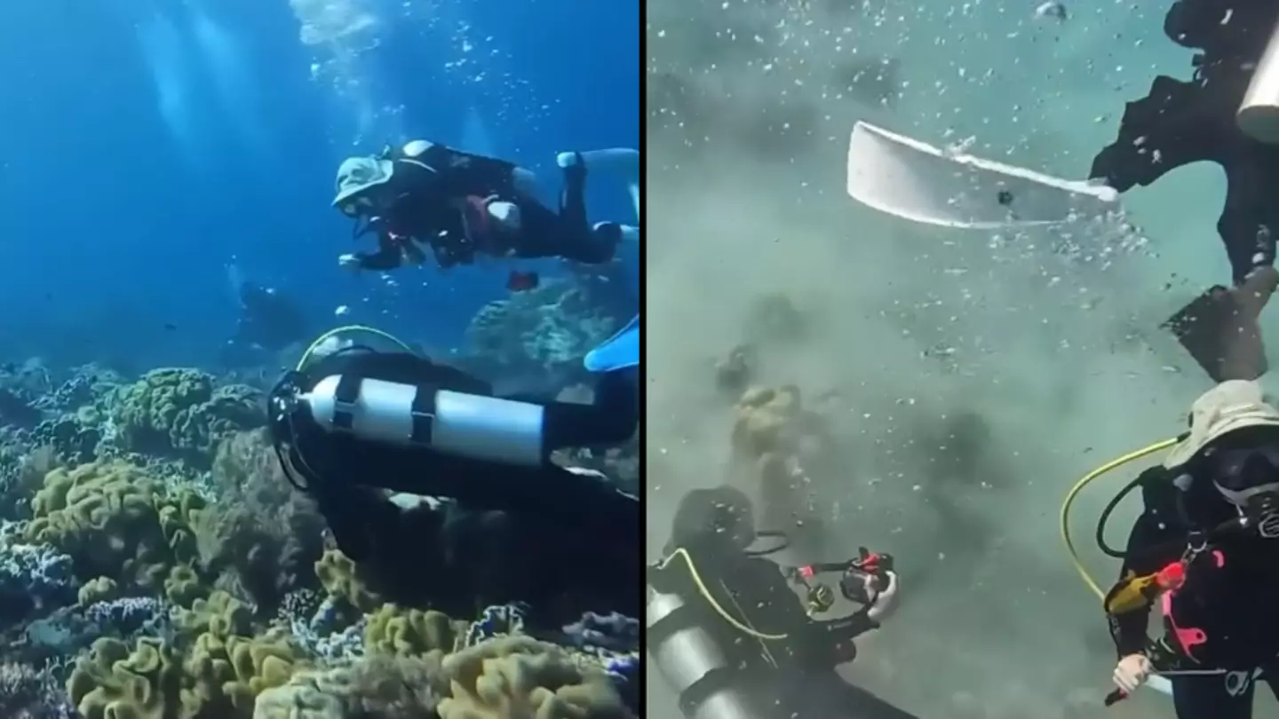 Incredible footage shows what happens underwater when an earthquake strikes