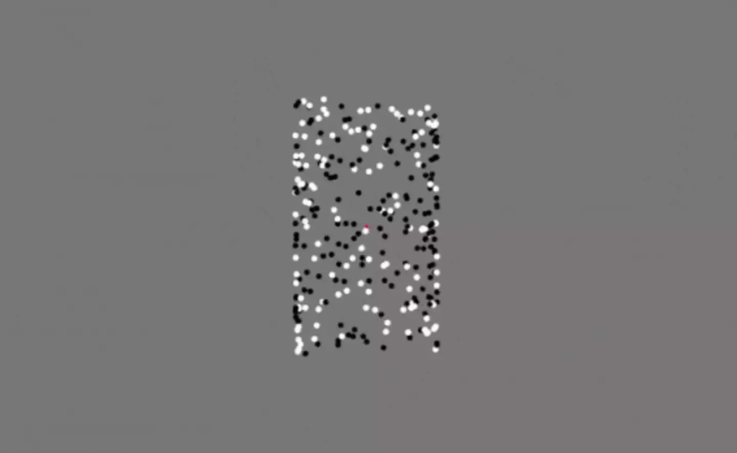 The optical illusion used in the study.