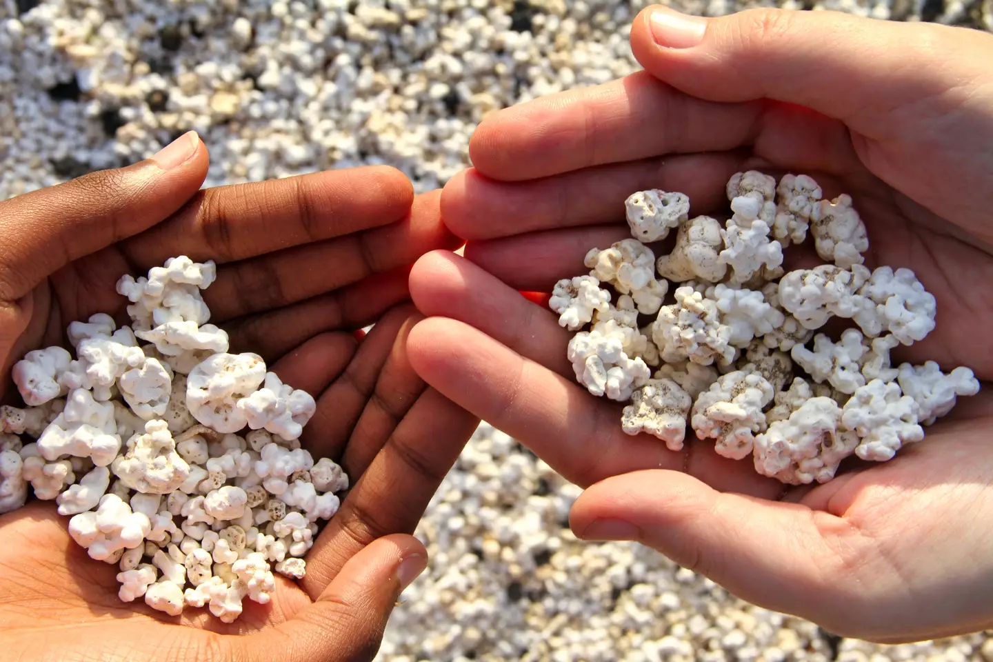 Popcorn Beach is regularly ravaged for souvenirs by tourists.