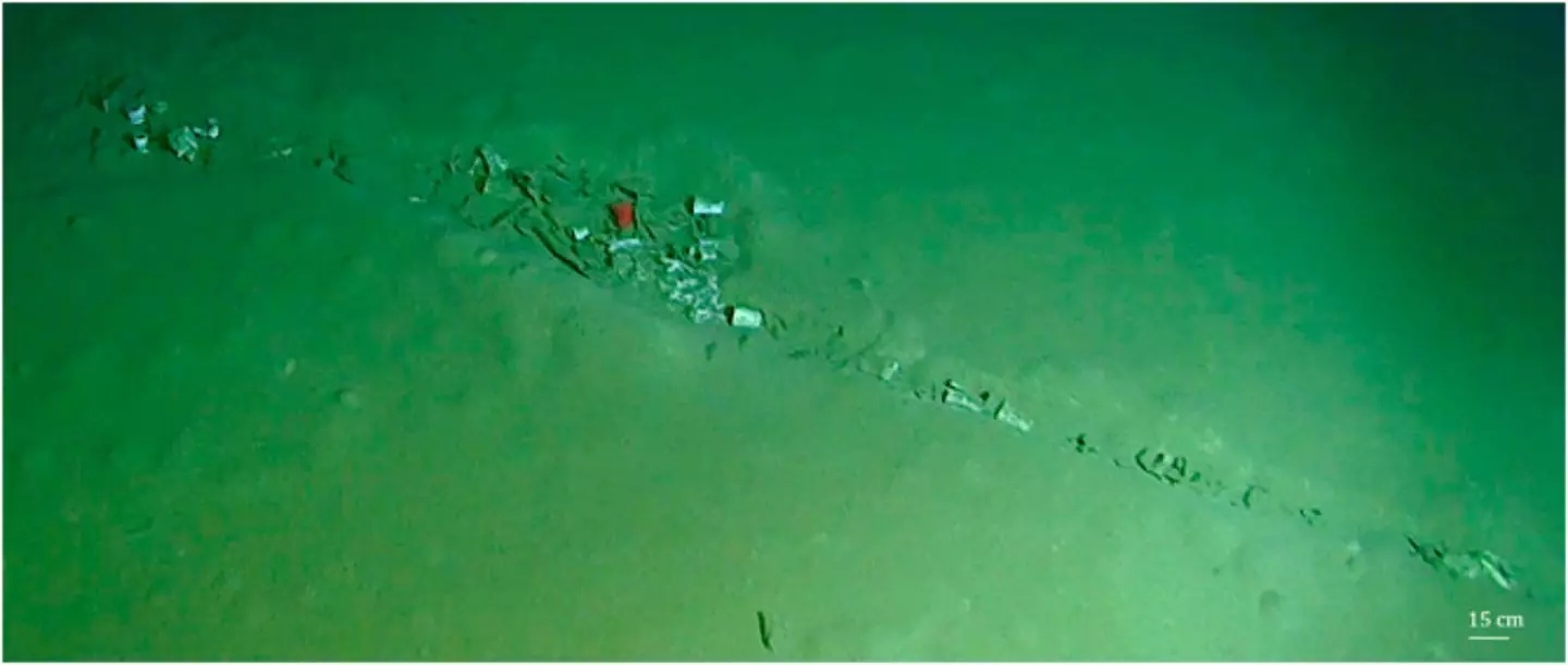A 'litter hotspot' over the floor of the Calypso Deep (Marine Pollution Bulletin)
