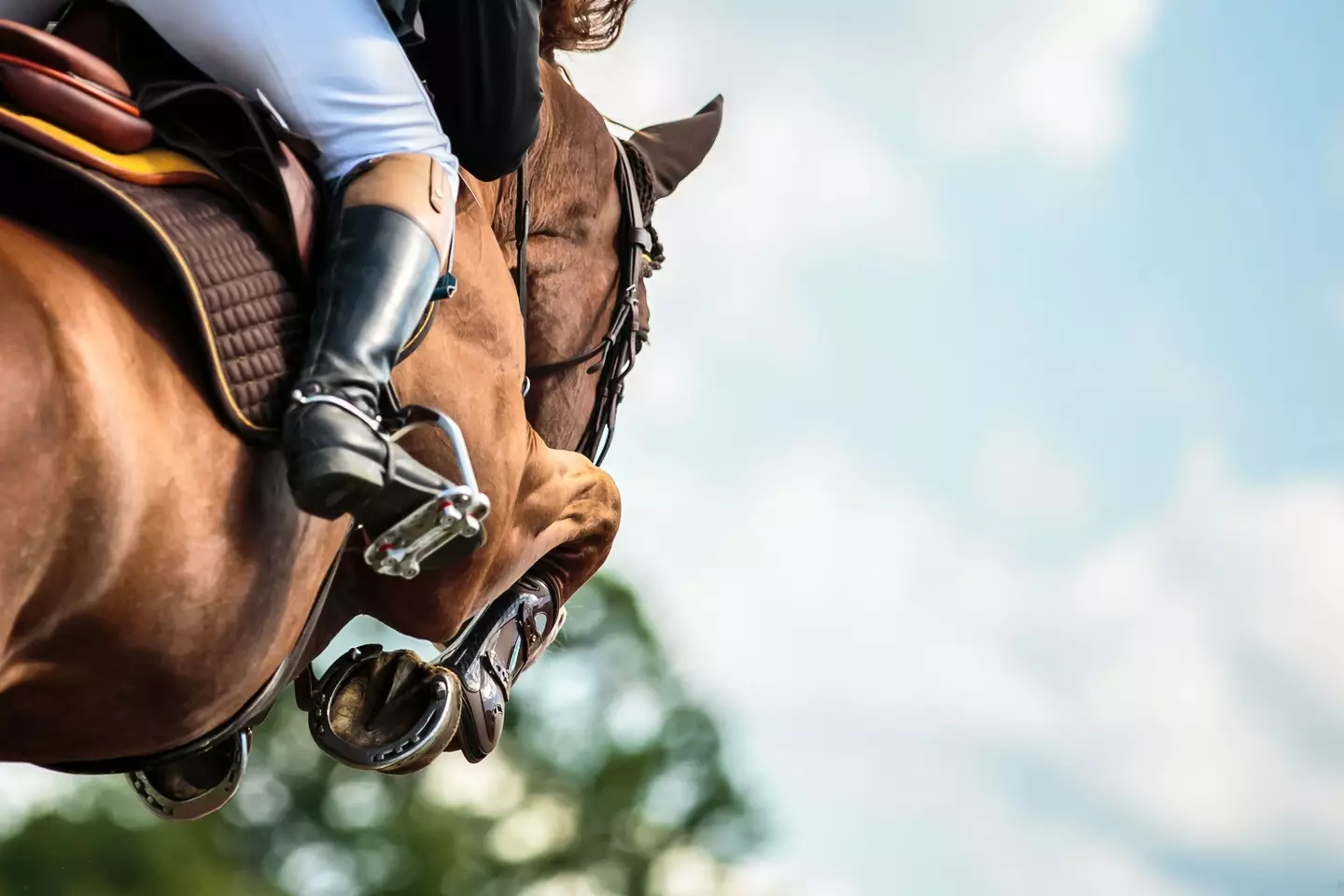 Yorke and her horse recently won a competition in Oxfordshire (Getty Stock Image)