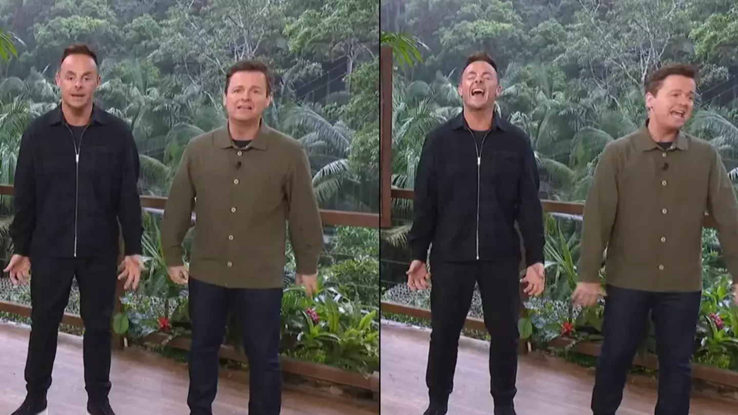 Baffled Ant and Dec ask 'who's that guy' as 'random man' is spotted on I'm A Celeb