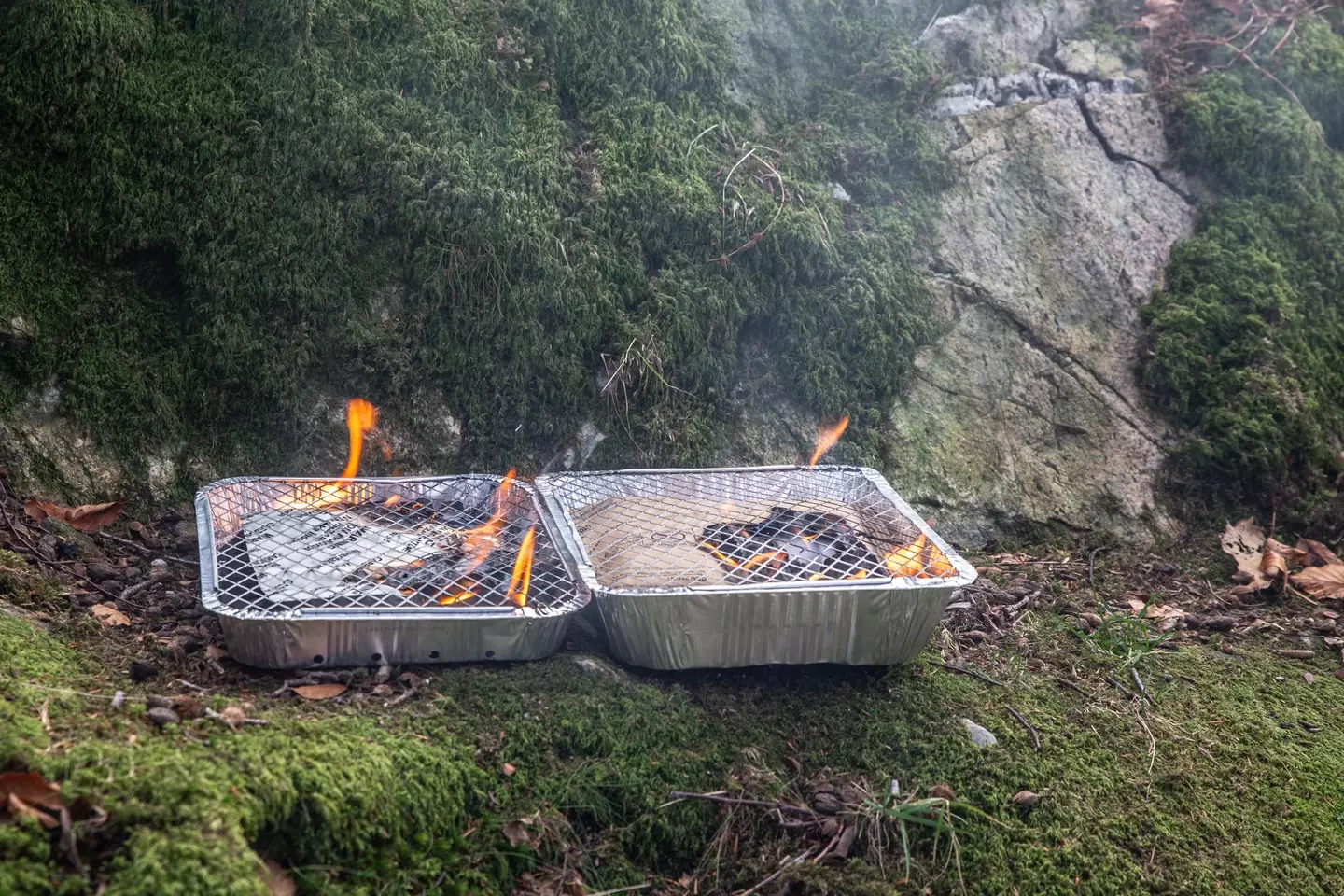 Two disposable barbecues set alight in a park.