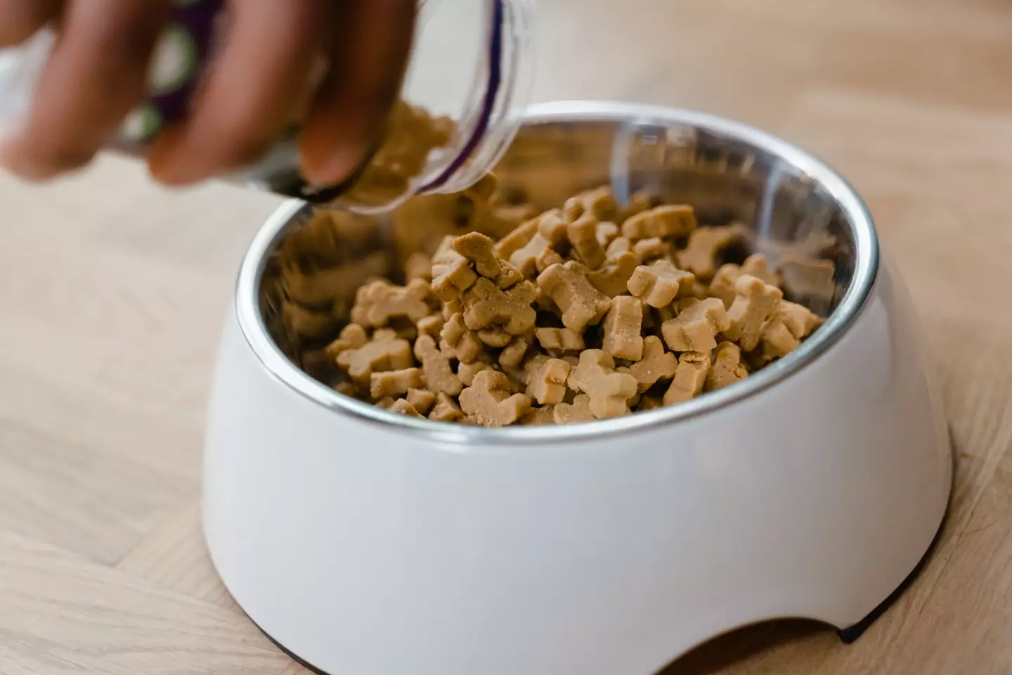 A university student said he eats dog food to save money.