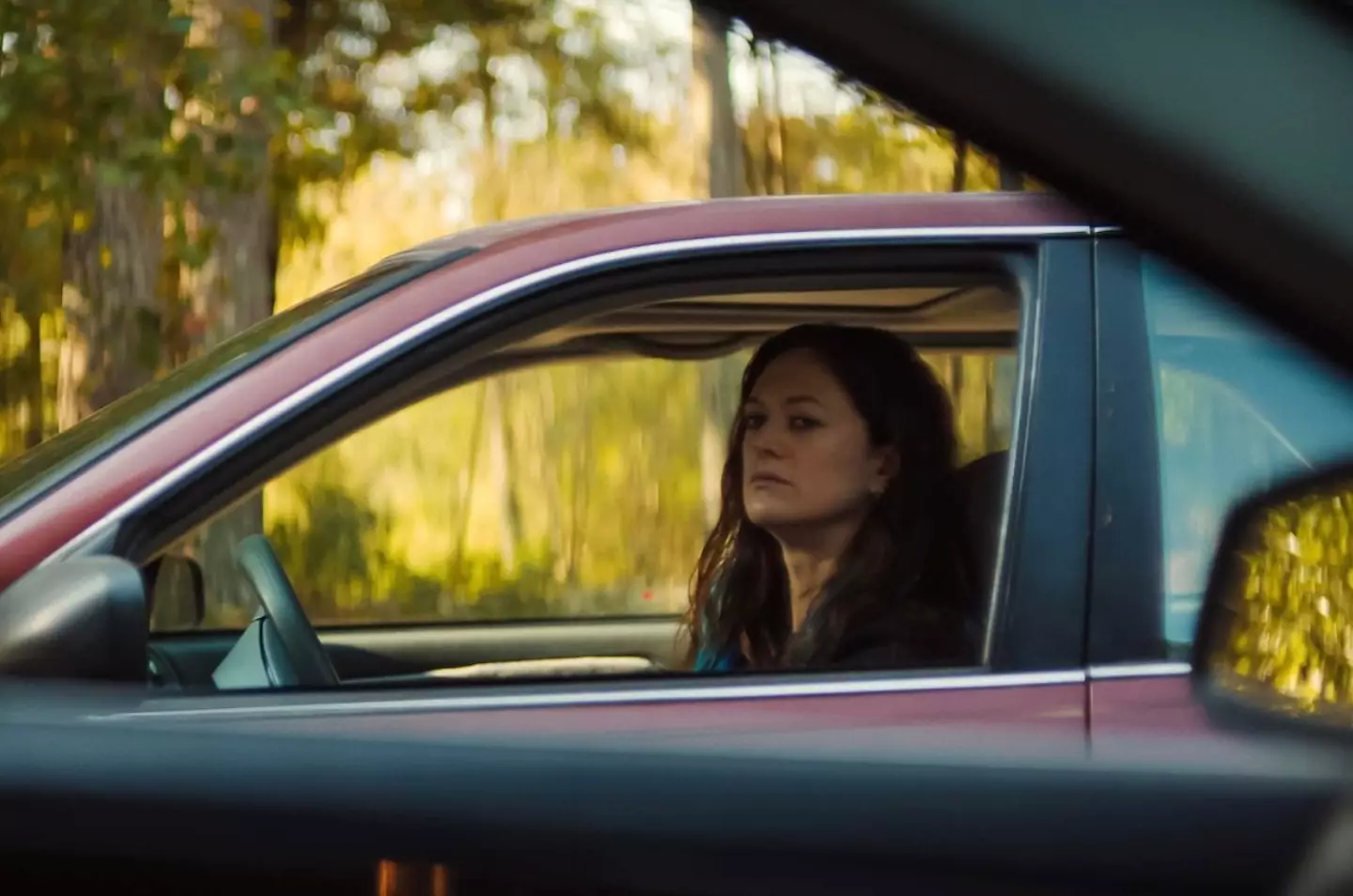 Fans can't understand how Anna could marry into the Harper family after what Zoe did (Netflix)