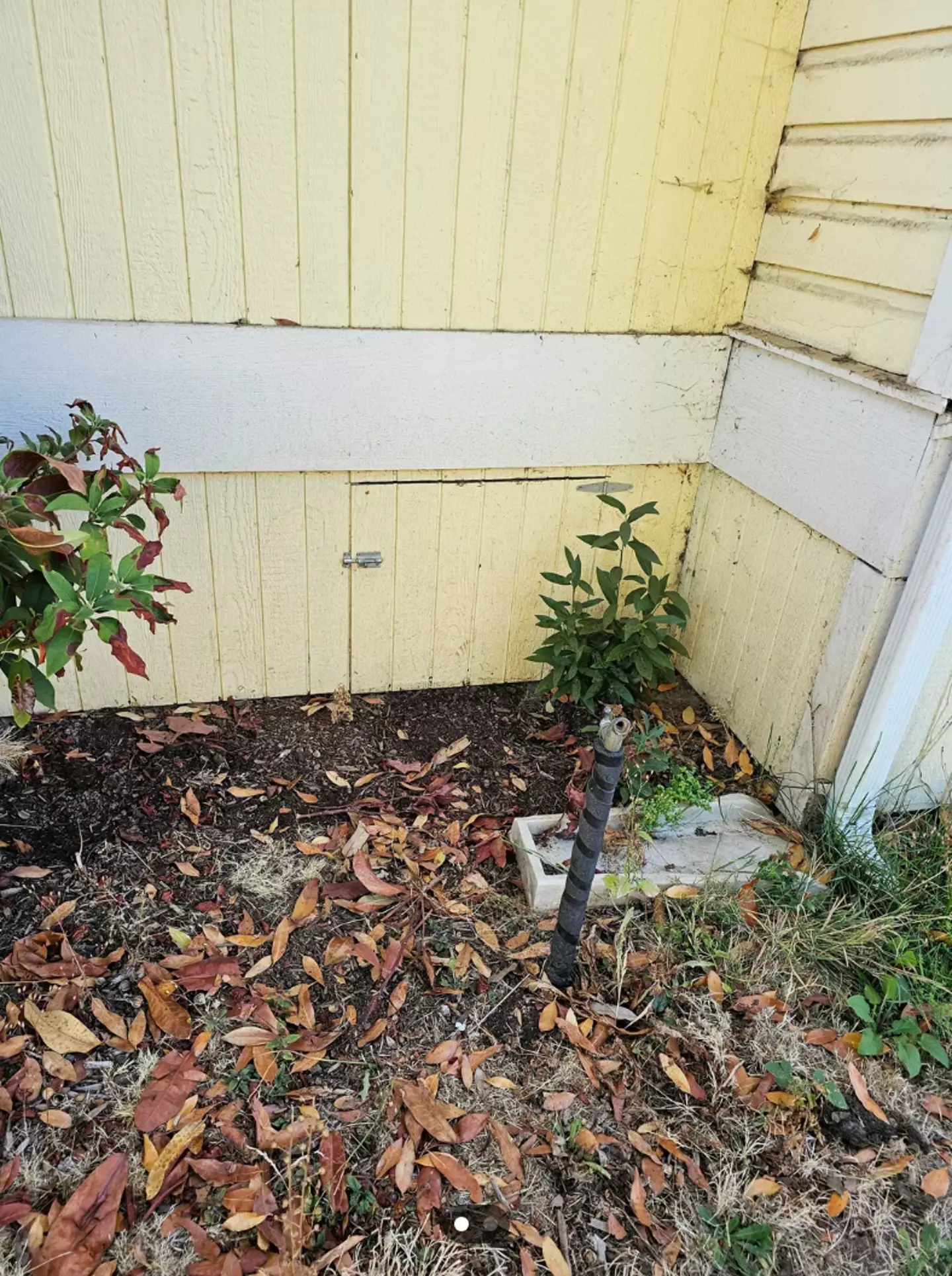 The hatch being unlocked was a giveaway (Reddit)