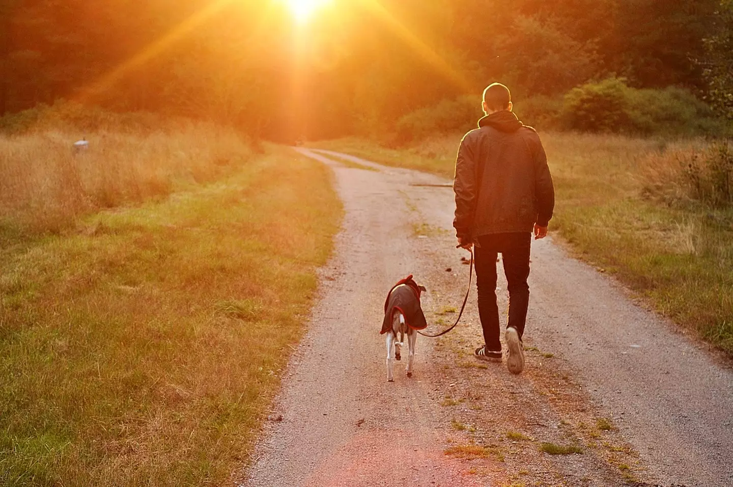 The family's dog had lived for 18 years.