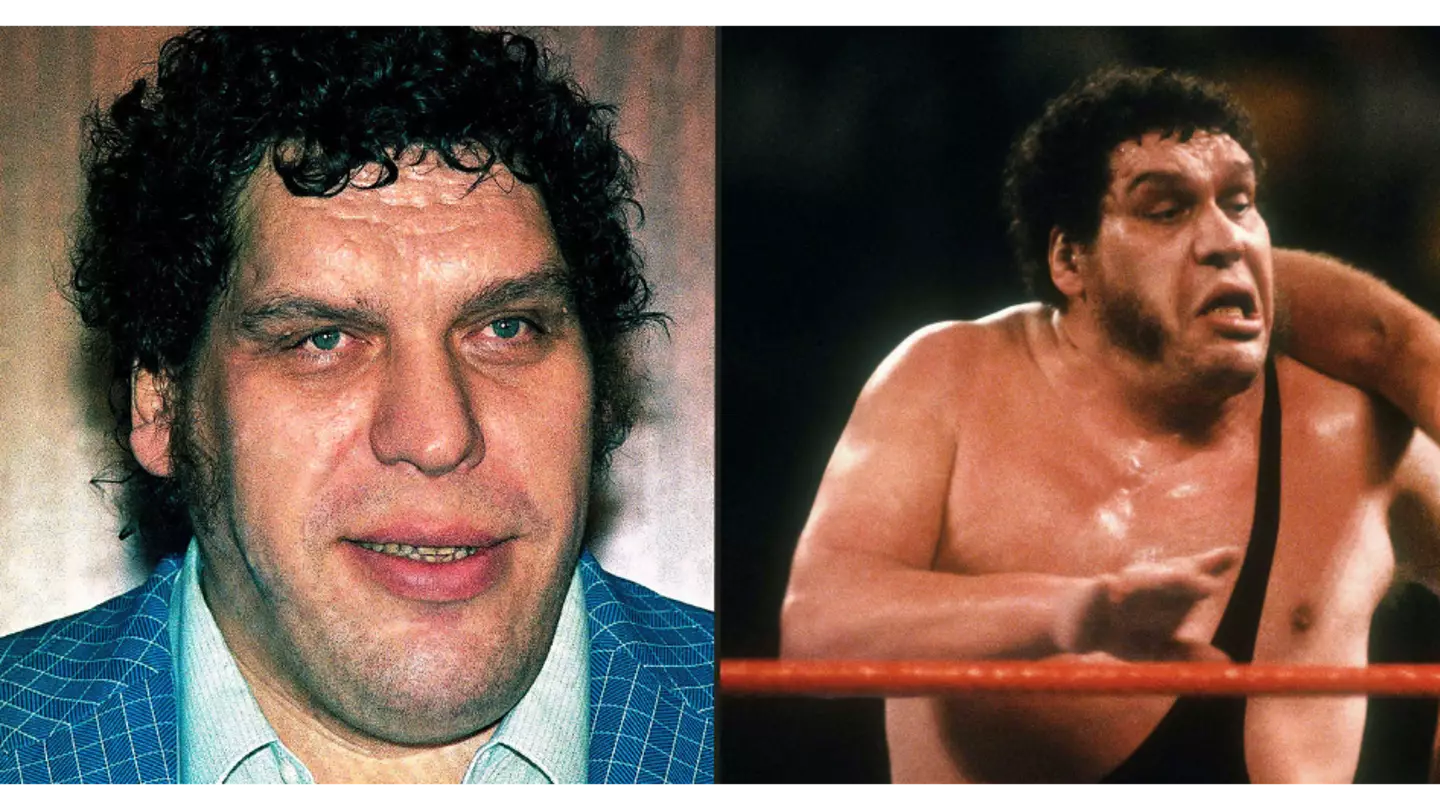 Andre the Giant left passengers ‘unable to breathe, gagging and crying’ after taking 'world's biggest poo' on plane