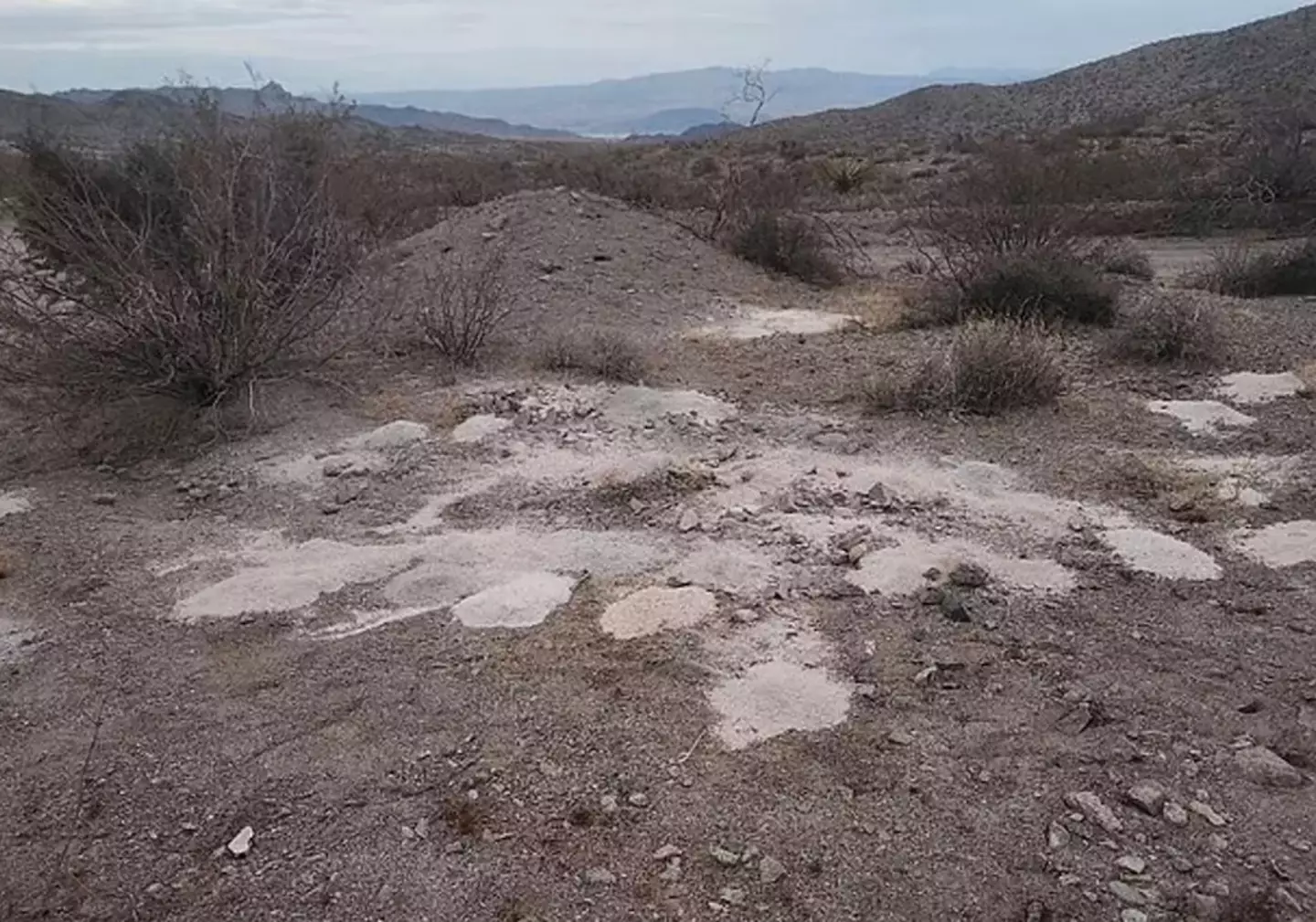 Officials are still investigating the disturbing discovery (KLAS)