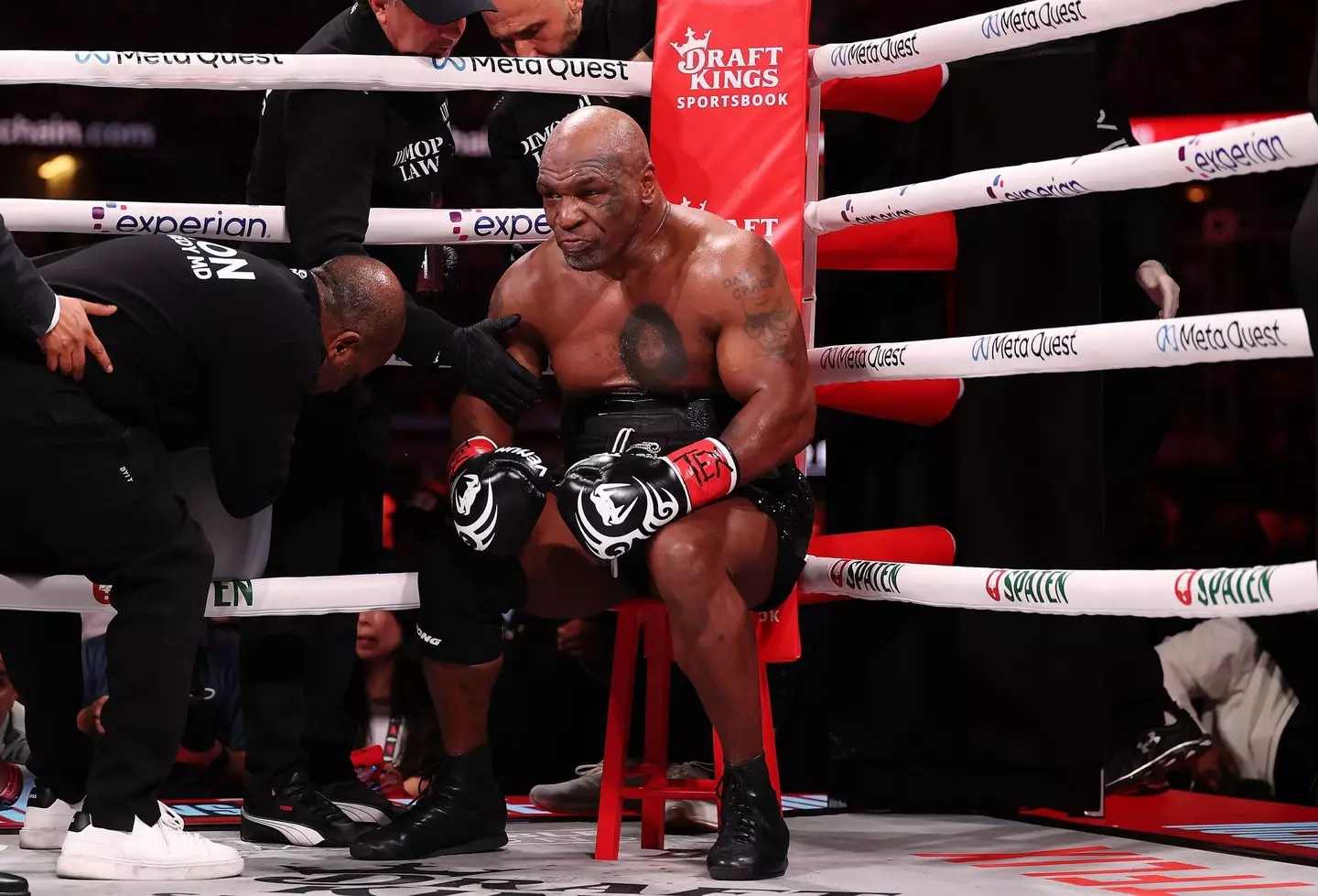 Tyson isn't finished just yet (Al Bello / Staff / Getty Images)