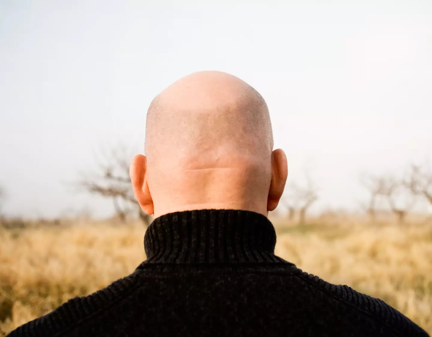 The judges also referenced their own baldness.