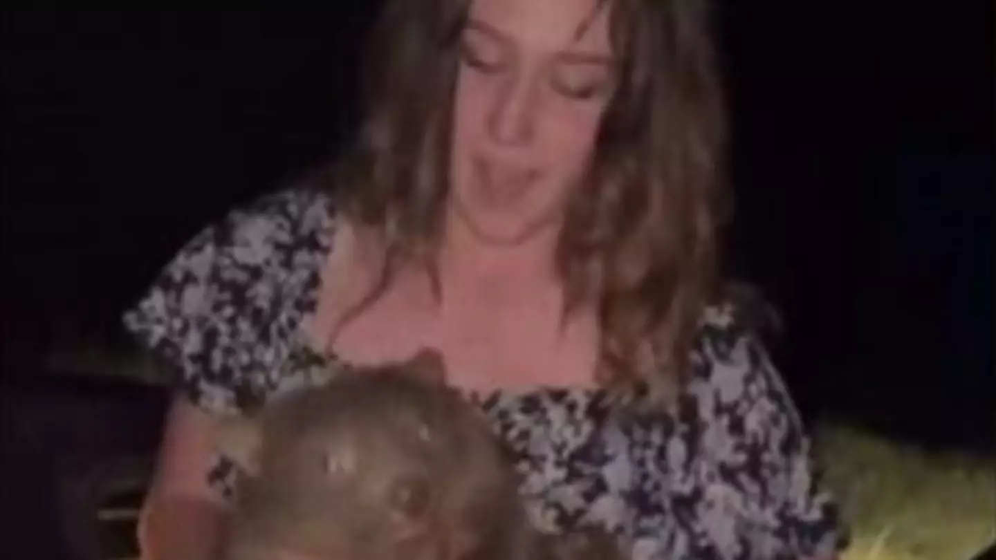 Instagram/samstrays_somewhere