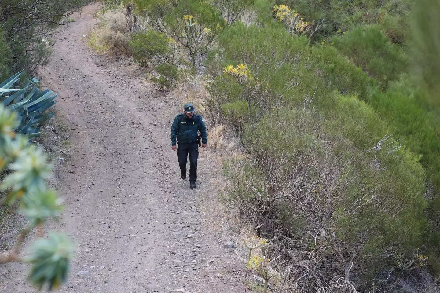 Search efforts in Tenerife looking for Jay Slater have found a body that is yet to be formally identified. (PA)